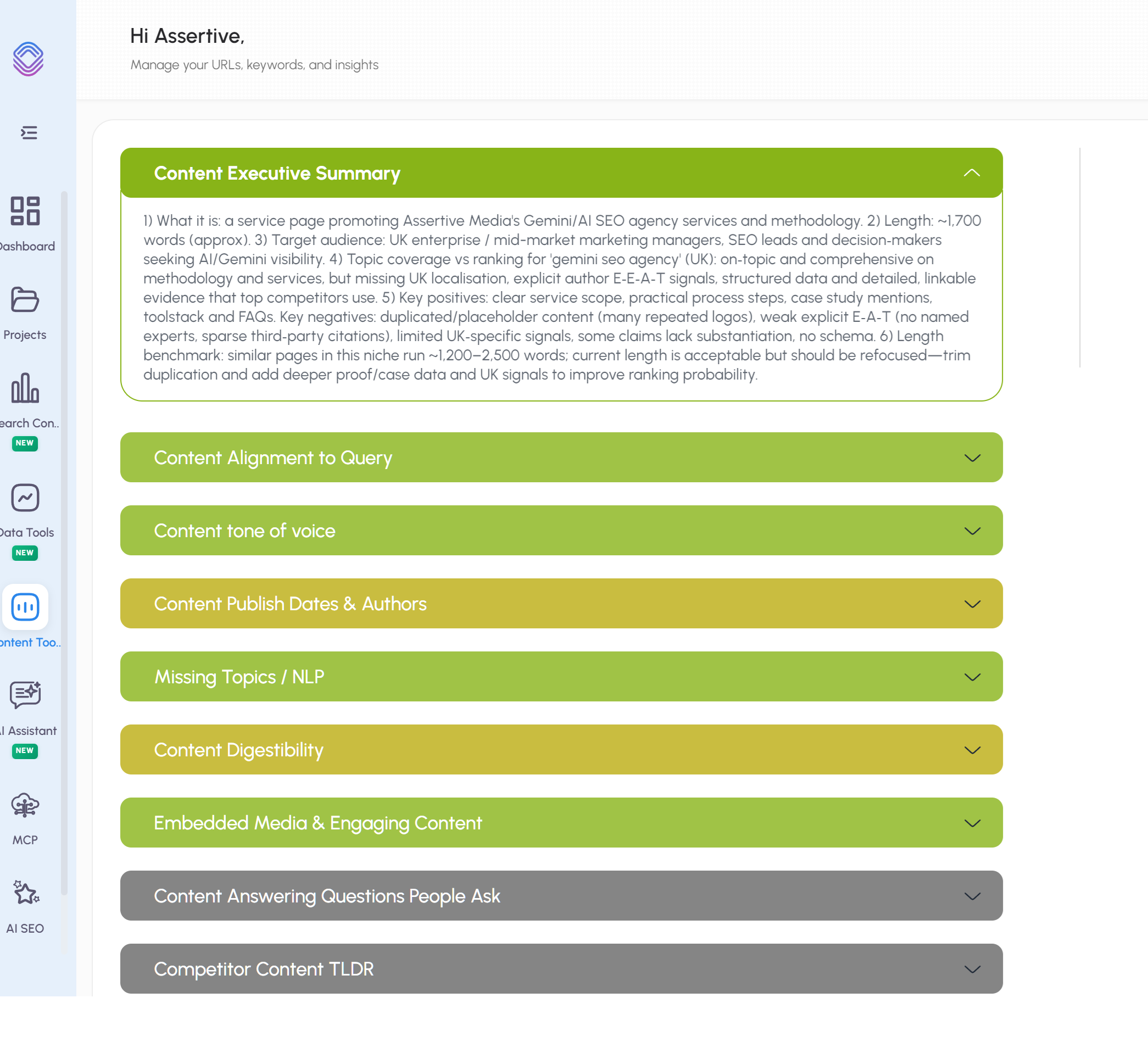 AI Content Audit Report